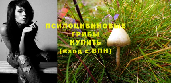 гидра Нягань