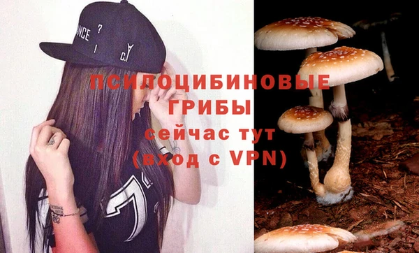 гидра Нягань