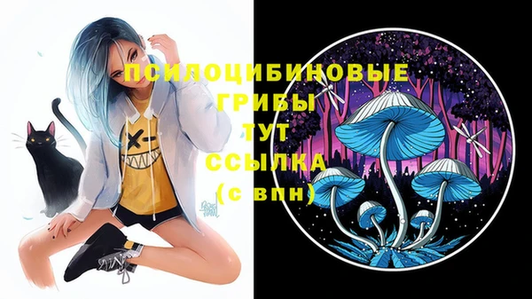 MESCALINE Осинники