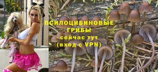 сатива Нязепетровск