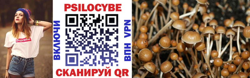 Галлюциногенные грибы Psilocybe  Крым 